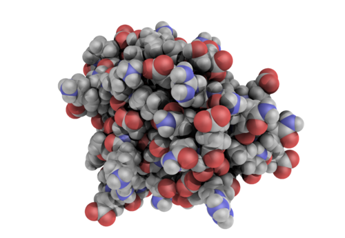 1BTA with ambient occlusion in PyMOL