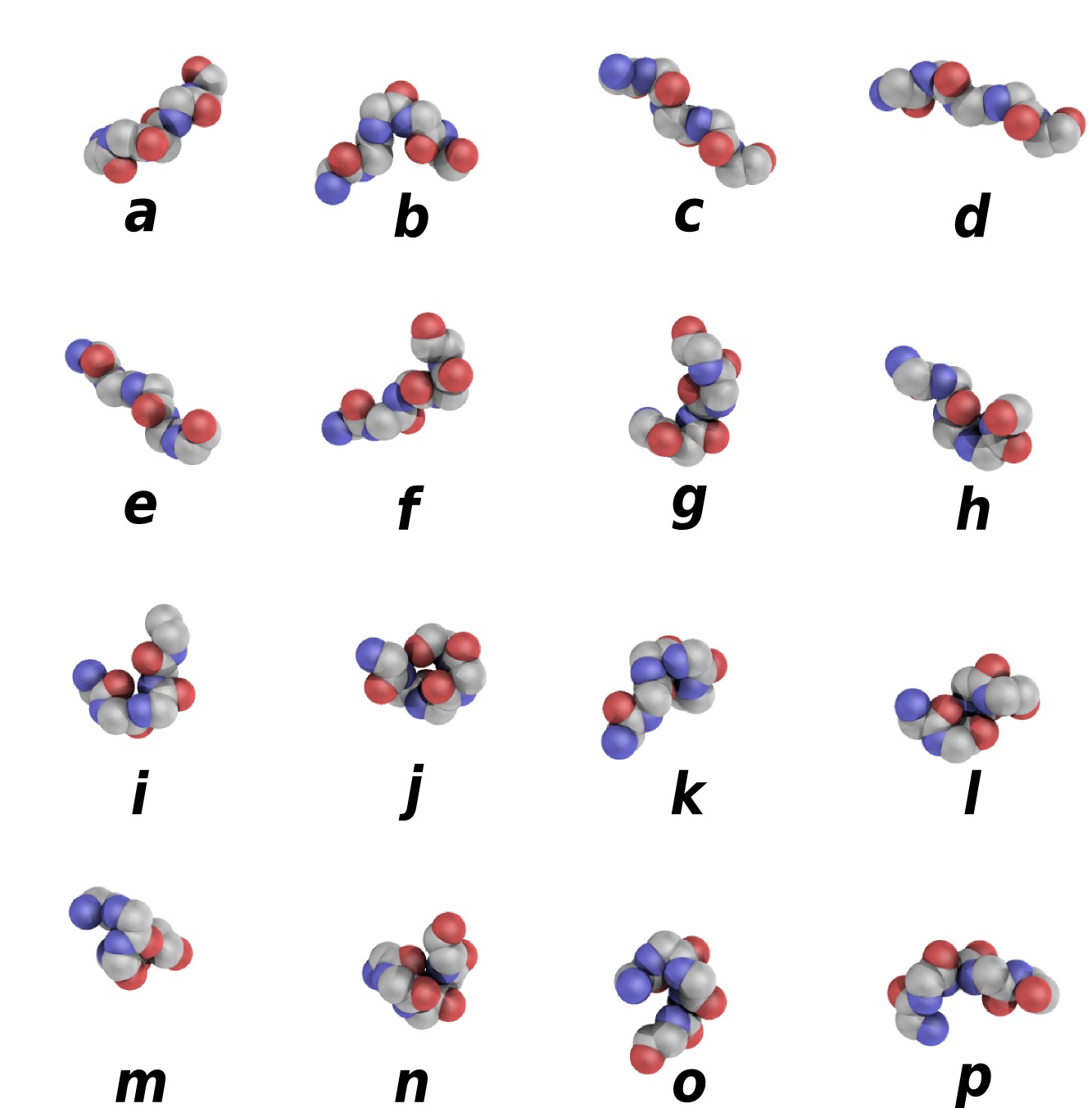 what-are-the-building-blocks-of-proteins-taratq