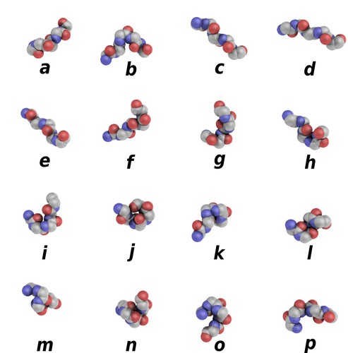 Protein blocks